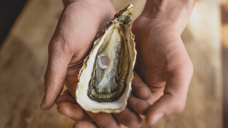 hands holding oyster