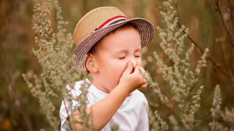 Child sneezing with pollen allergy