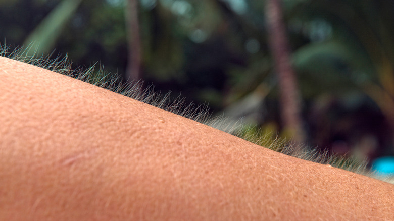 Close up of man with goosebumps