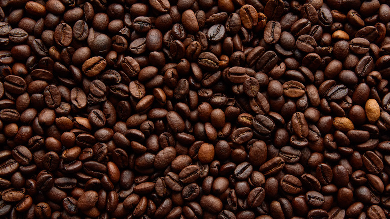 coffee beans close up