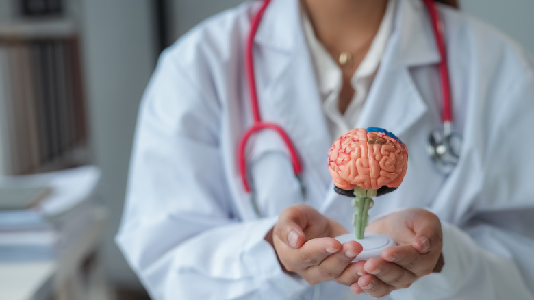 female doctor holding brain model