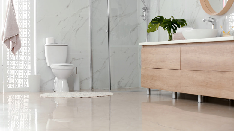 Long distance shot of a toilet in a bathroom
