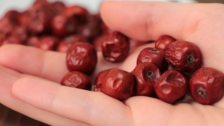 Hand holding jujube fruit
