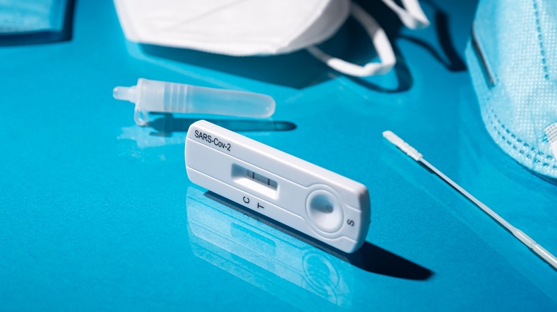 Blood samples being examined in laboratory 