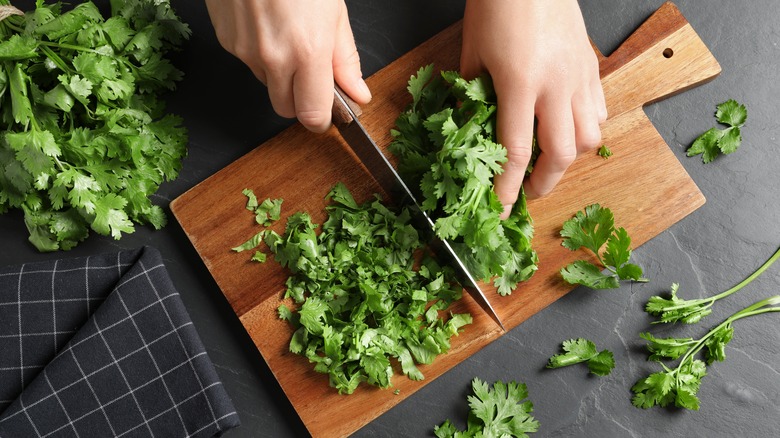 Chopping cilantro on wooden cutting board