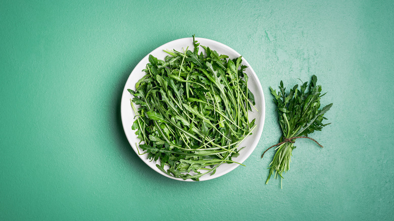 plate of arugula with a bundle of green mint