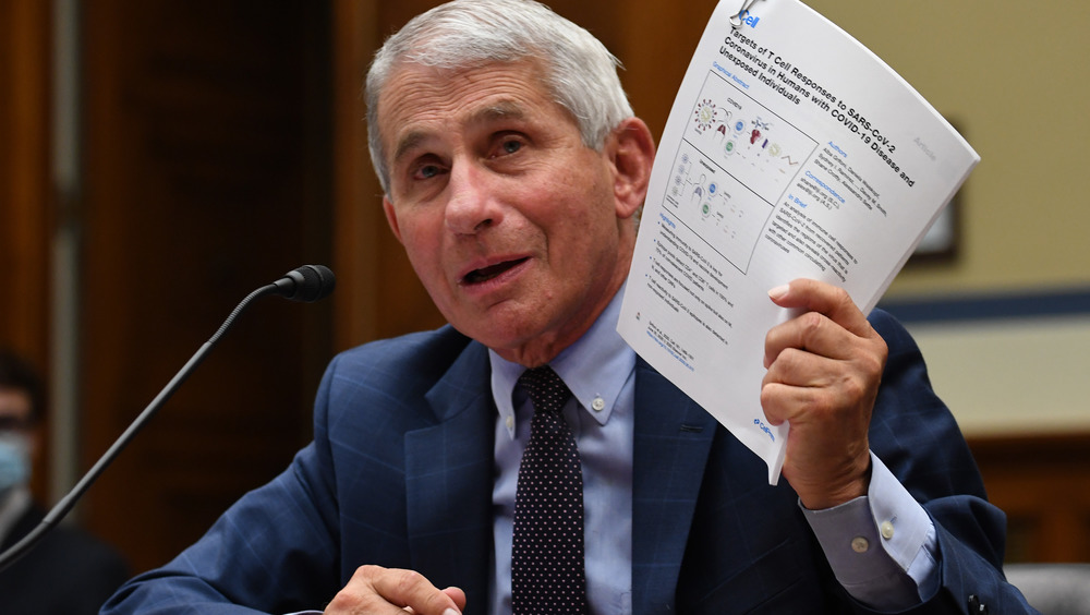 Dr. Fauci