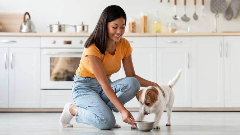 Asian woman feeding dog