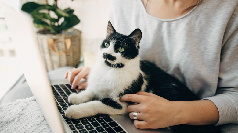 woman with cat