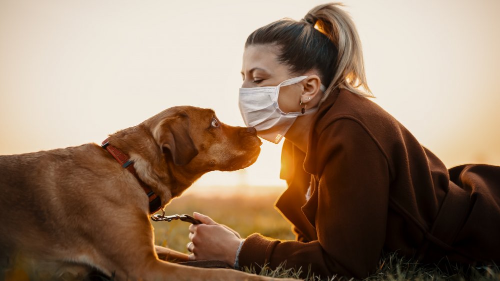 Dog with woman in face mask