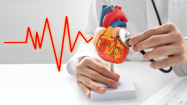 cardiologist showing heart diagram