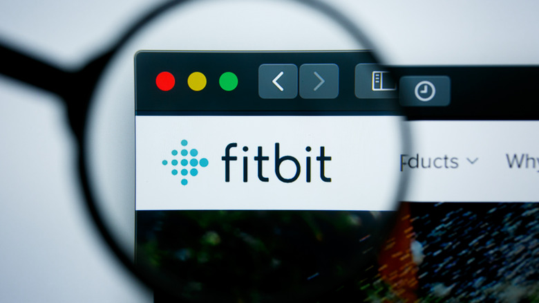 웹 사이트에서 확대 된 Fitbit 로고