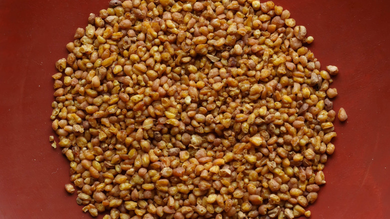 tartary buckwheat seeds