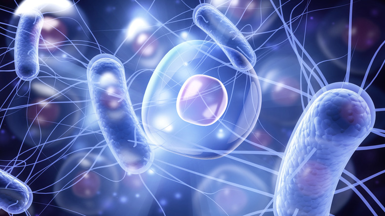 concept of cells working