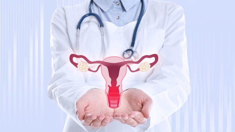 virtual female reproductive system