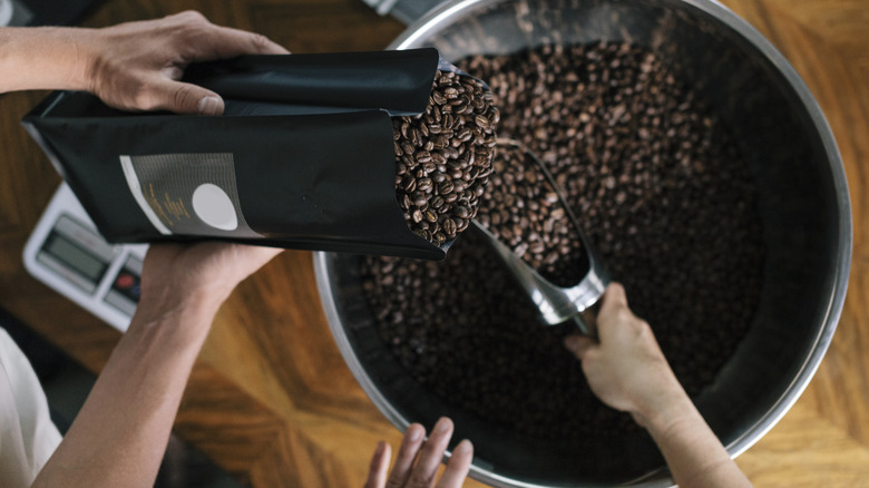 people filling bags with coffee beans
