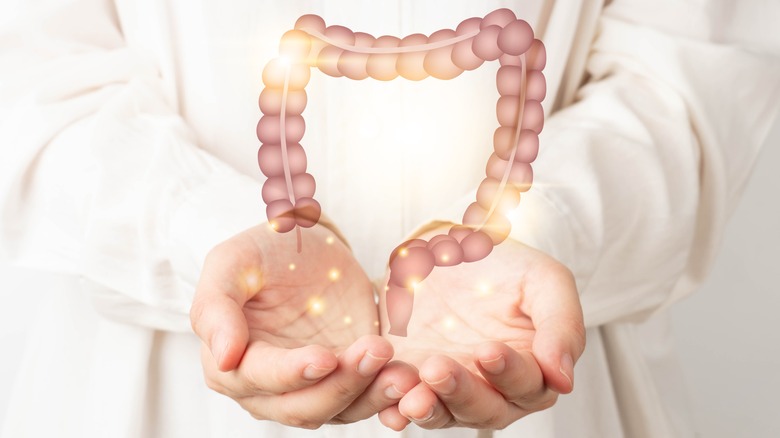 Doctor's hands holding an image of gastrointestinal tract