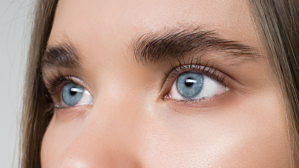 close up of a woman's thick brows 