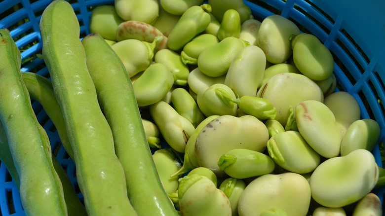 Raw lima beans in bowl