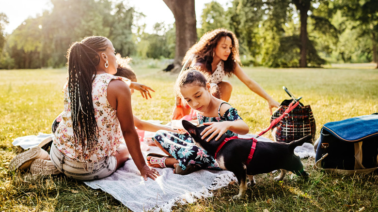 people having a picnic in the park
