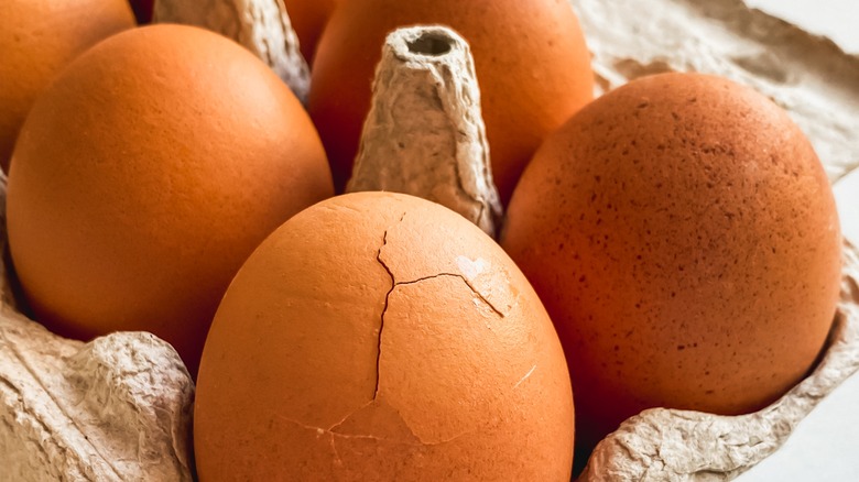 closeup of cracked egg