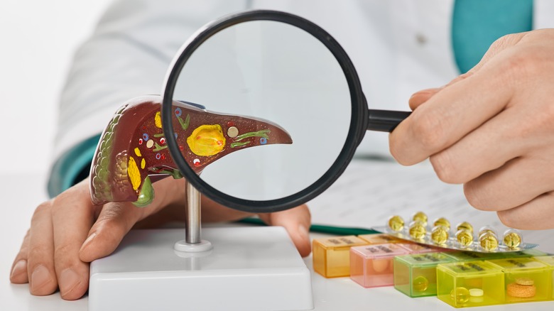 Doctor holding a magnifying glass over a liver model