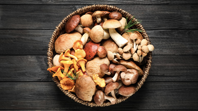 bowl of various kinds of mushrooms