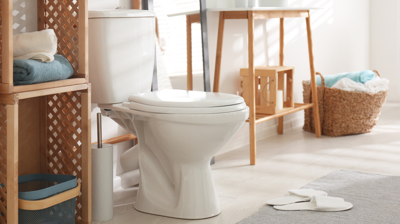 A toilet by a pair of bedroom slippers