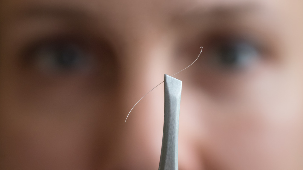 Gray hair held by tweezer