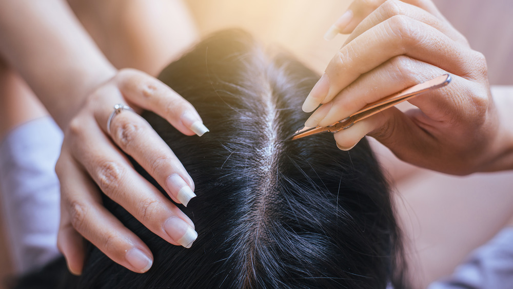 Woman plucking gray hair 