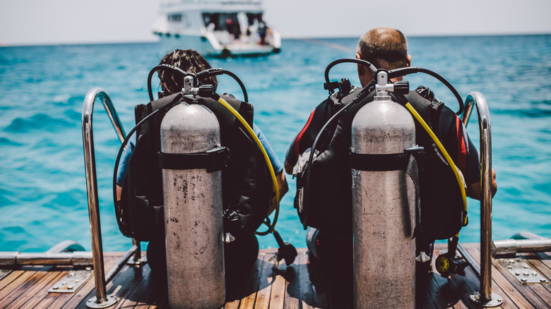 backside view of two scuba divers about to go into the ocean 