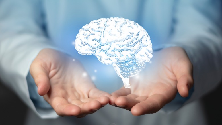 Image of brain over doctor's hands