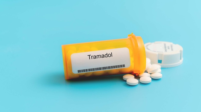 A bottle of tramadol tablets