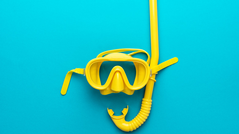 Flat lay shot of a yellow snorkel against a teal background