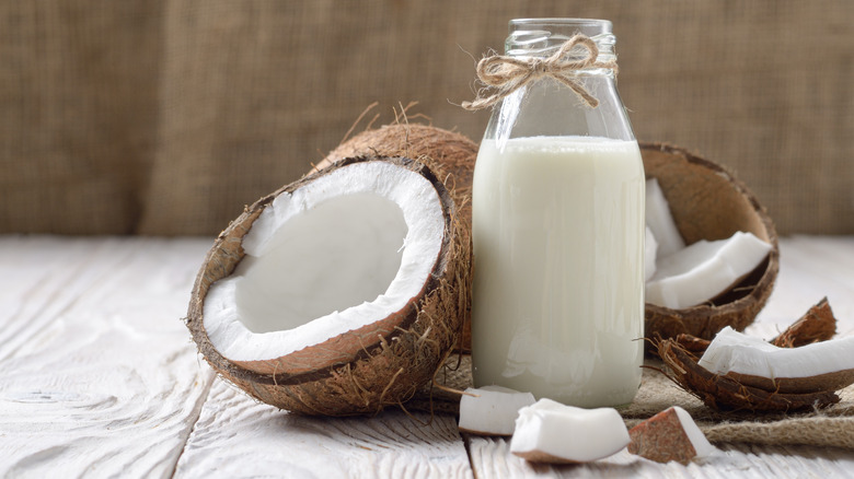 Coconut milk in jar with coconuts