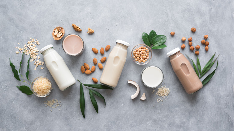 bottled plant-based milks on a grey background