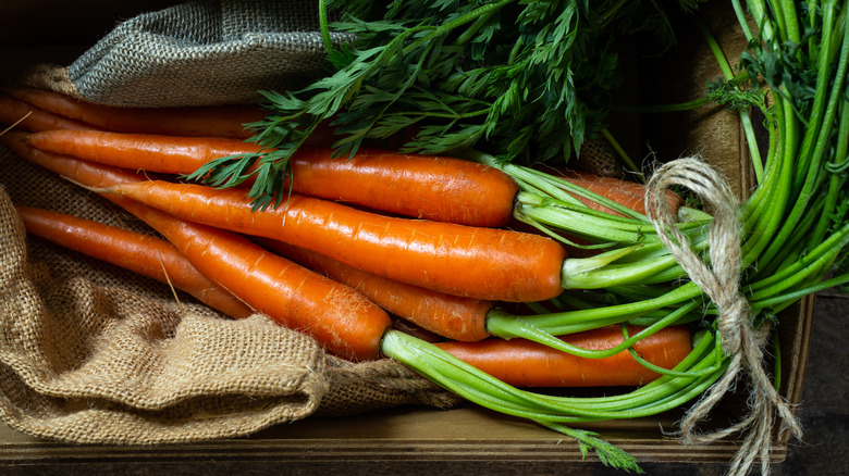 Freshly picked carrots in a box
