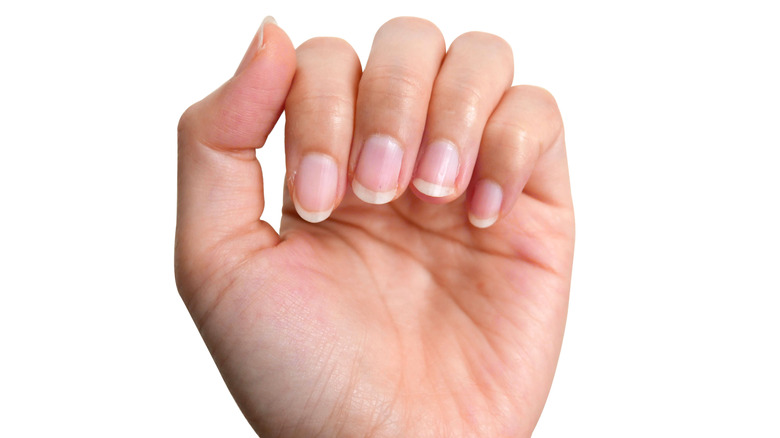 female hand with long, natural nail with an all white background 