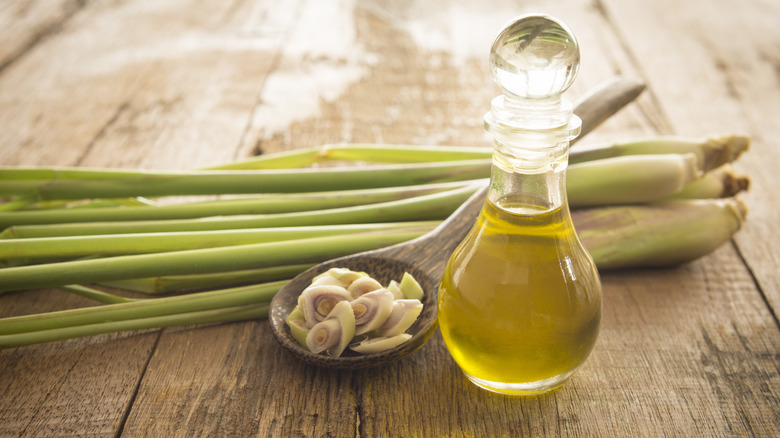 lemongrass and oil in bottle