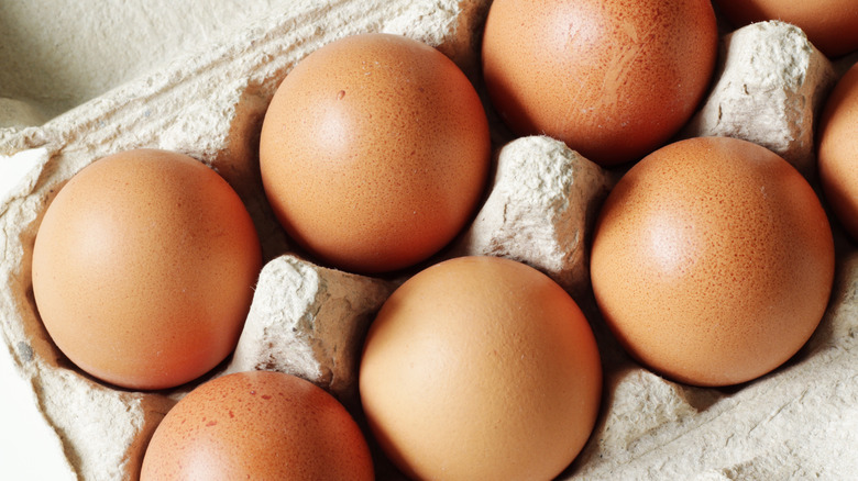 close up of a carton of eggs