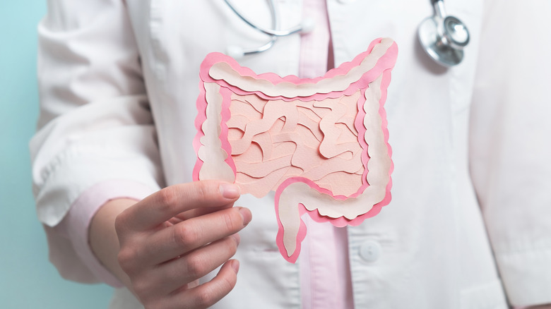 doctor holding a paper cutout of an intestinal tract