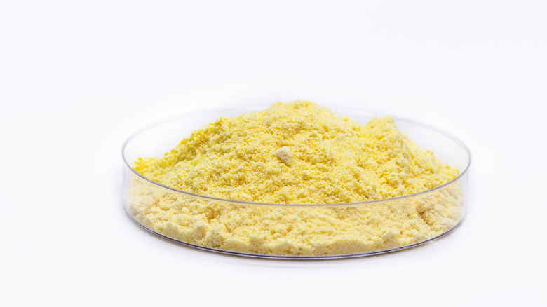 A petri dish full of powdered sulfur