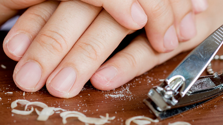 Woman's nails over clipped with a nail clipper 