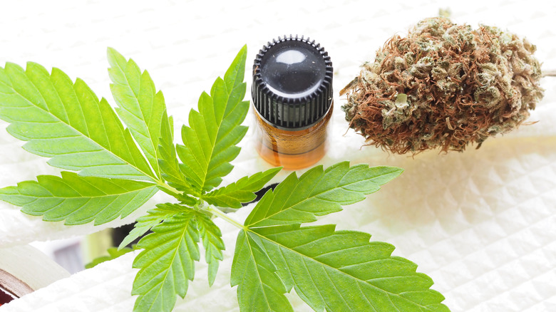 Marijuana in a variety of medicinal forms