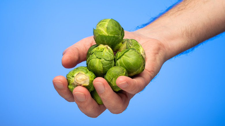 man holds brussels sprouts