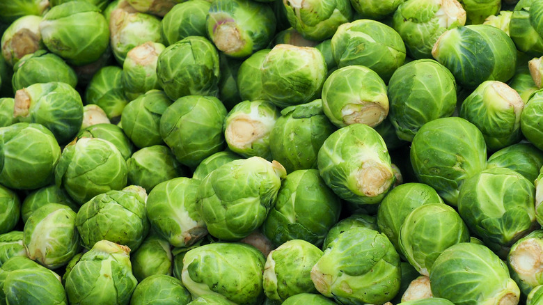 brussel sprouts