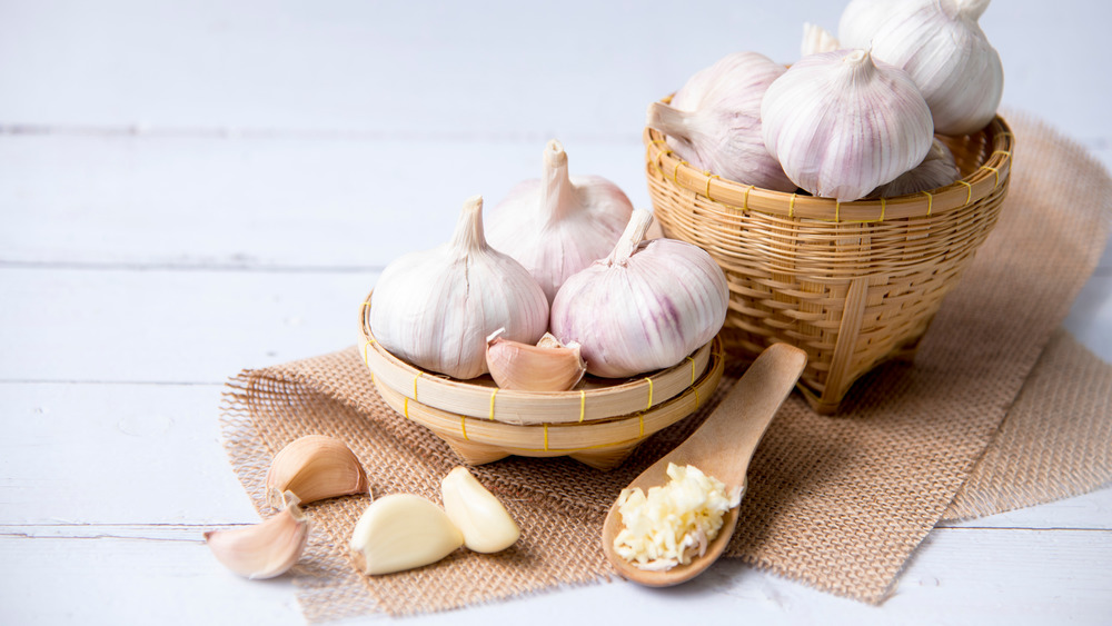 Garlic