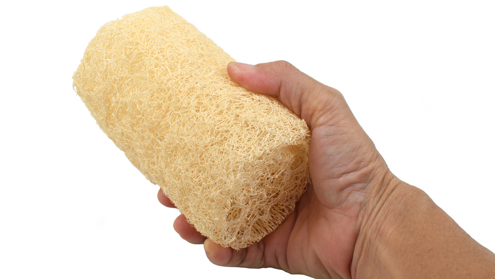 Hand holding dry loofah sponge
