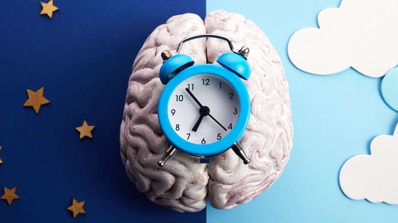 brain model with a clock and night and day background
