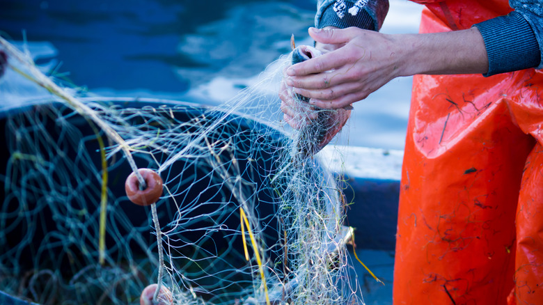 fisherman sustainably fishing